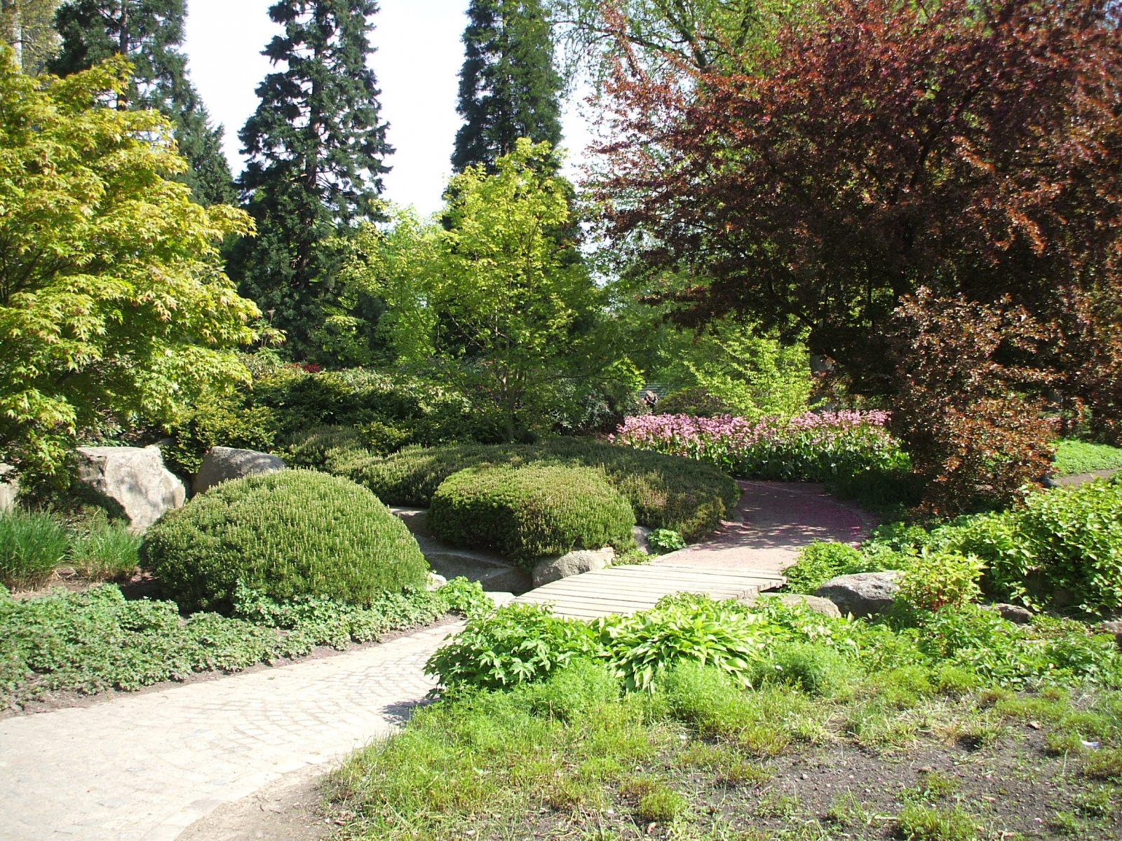 Giardini Planten un Blomen Amburgo