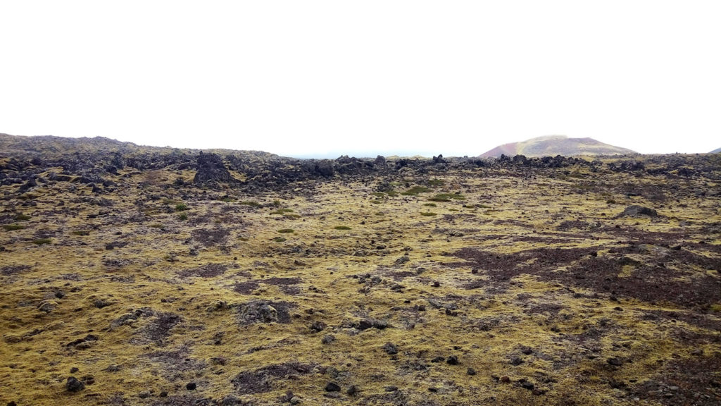 Campi Lavici in Islanda nella Penisola di Snaefellsnes