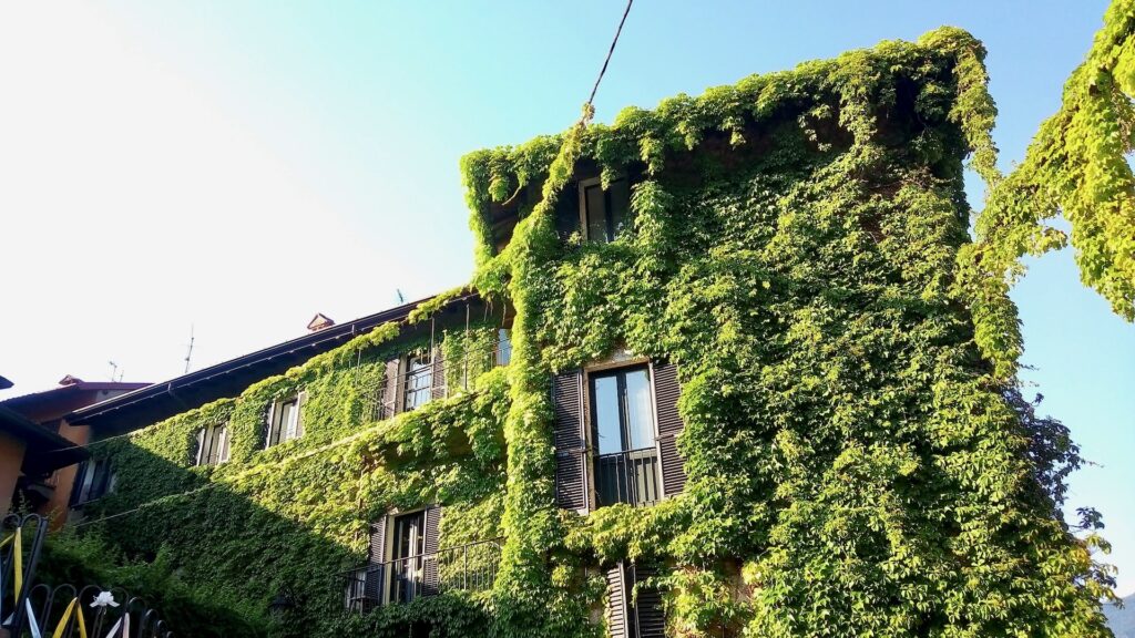 Edifici coperti di verde a Bellagio