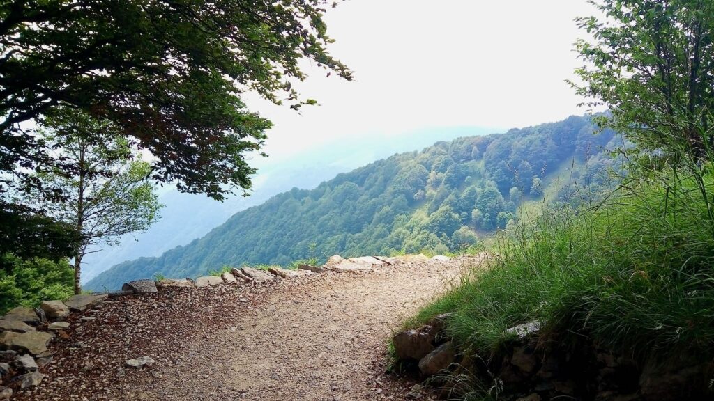 Sentiero Monte Generoso